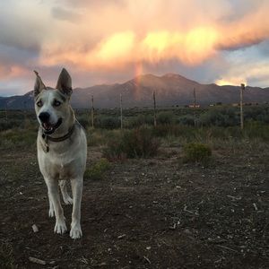 Meet your Posher, Mike